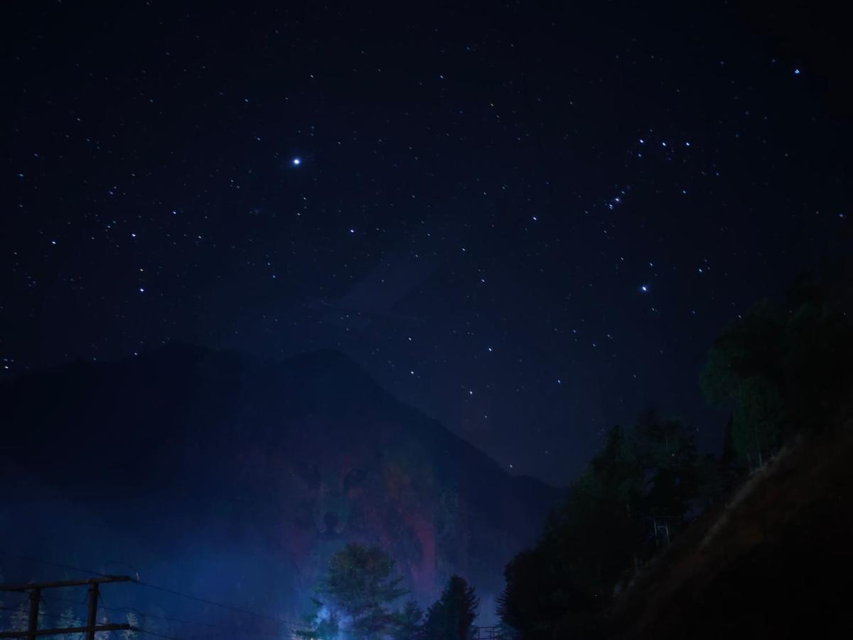Snow View Guest House Kasol Exterior photo